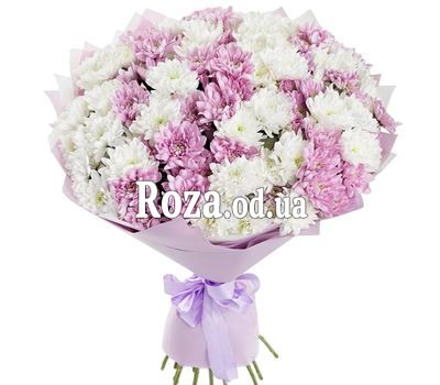 Bouquet of 13 chrysanthemums