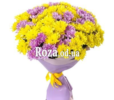 Букет из 17 хризантем