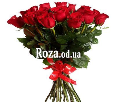 Красные розы 17 шт.