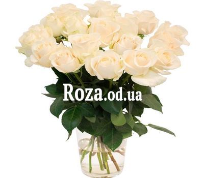 Белые розы:19 шт.