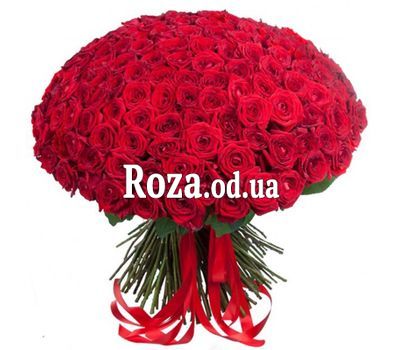 Bouquet of 201 red roses