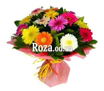 21 різнобарвна гербера