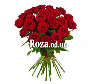 Букет красных роз OD 018