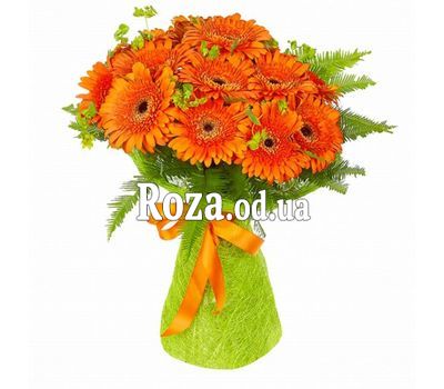 25 orange gerberas