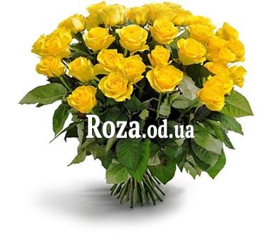 Желтые розы 25 шт.