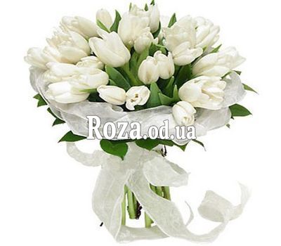 Bouquet of 35 white tulips