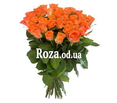 Оранжевые розы в Одессе:35 шт.