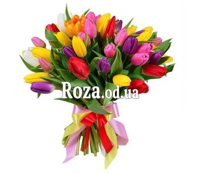 Bouquet of 55 multi-colored tulips