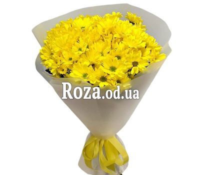Букет из 7 хризантем