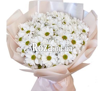Букет ромашек