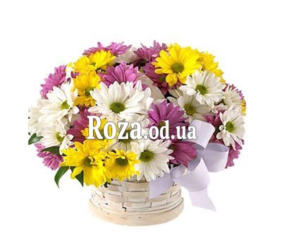 9 хризантем