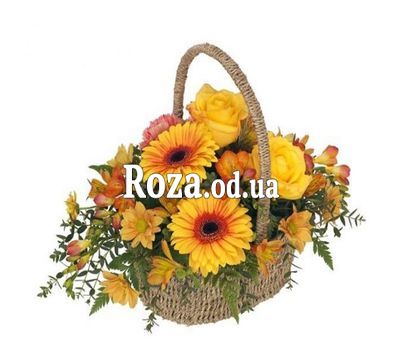 Basket of flowers from gerberas and chrysanthemums