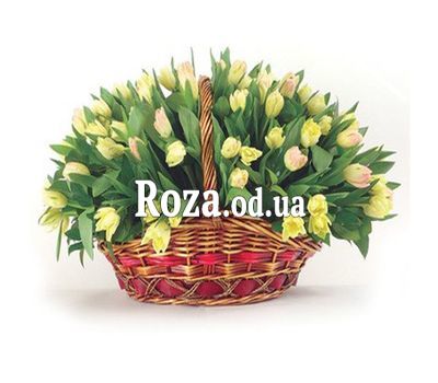 Корзина из 85 тюльпанов