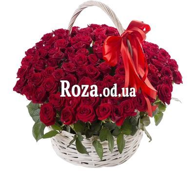 101 red rose