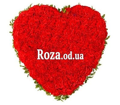 Сердце из 101 красной гвоздики