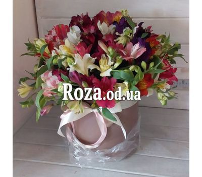Alstroemeria in the box - photo 1