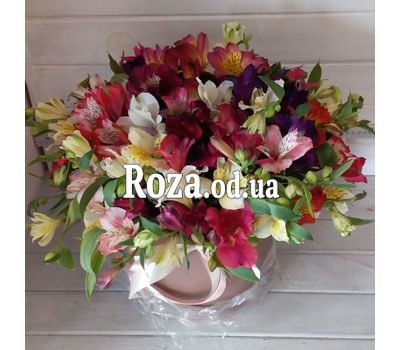 Alstroemeria in the box - photo 2