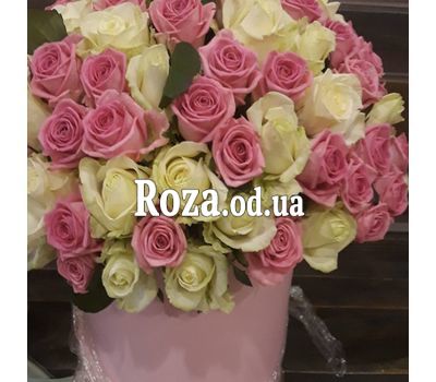 101 white and pink rose in box 1