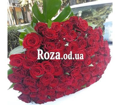 101 red rose 80 cm 1