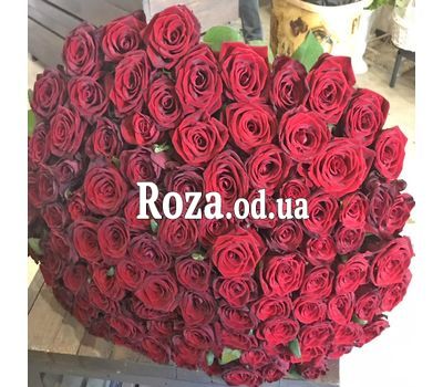 101 red rose 80 cm 3