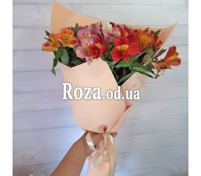 15 альстромерій 9