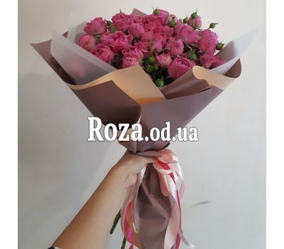 15 bush roses 1