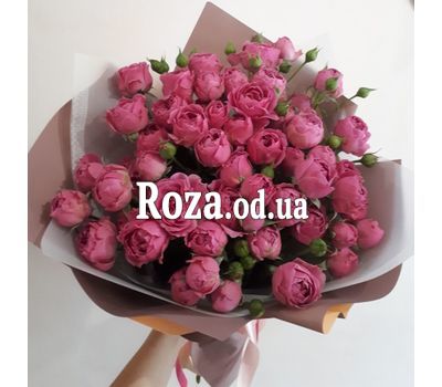 15 bush roses 2
