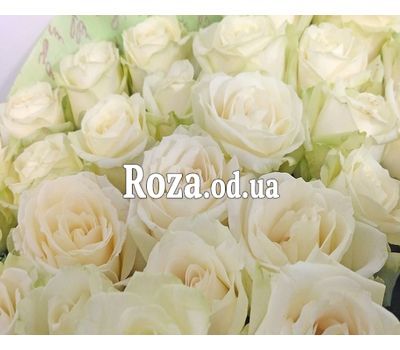 25 white roses in a bouquet 4