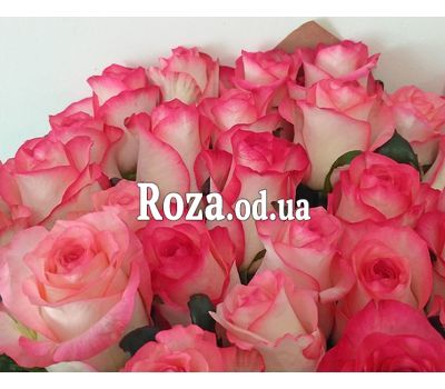 25 оригинальных роз Джумилия 1