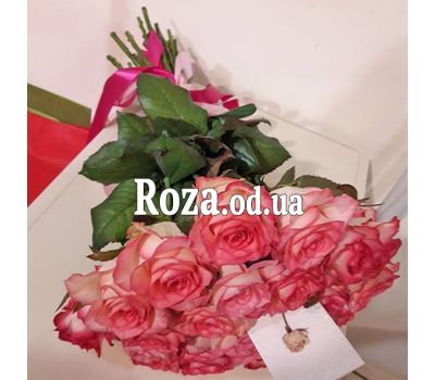 25 оригинальных роз Джумилия 5