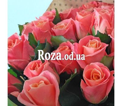25 peach roses 1