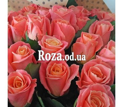 25 peach roses 2