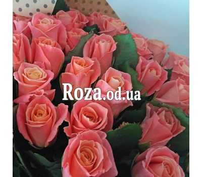 25 peach roses 3
