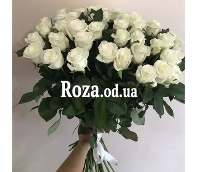 51 біла троянда 60 см - 2