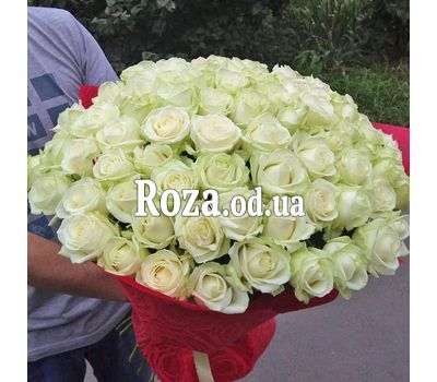 75 белых роз 70 см 2