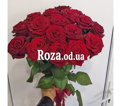 Букет из 17 красных роз 2