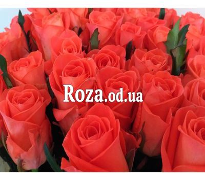 Букет из 17 роз 3