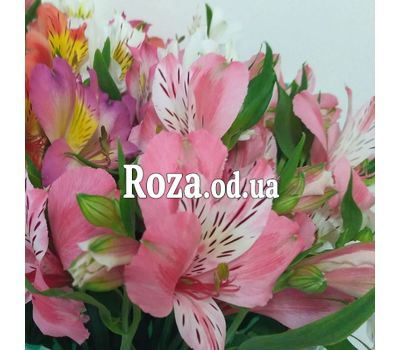 Bouquet of 21 alstroemerias 1