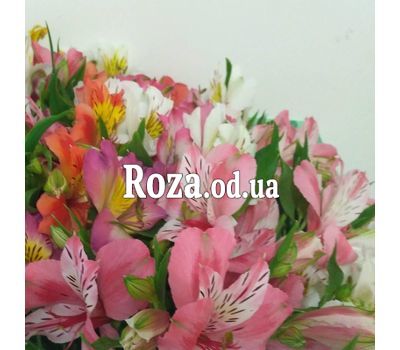 Bouquet of 21 alstroemerias 2