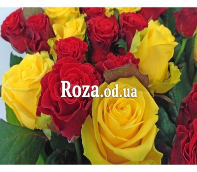 Букет из 21 розы 1