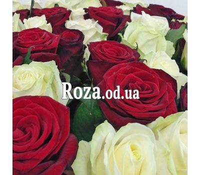 Букет из 29 разноцветных роз 2