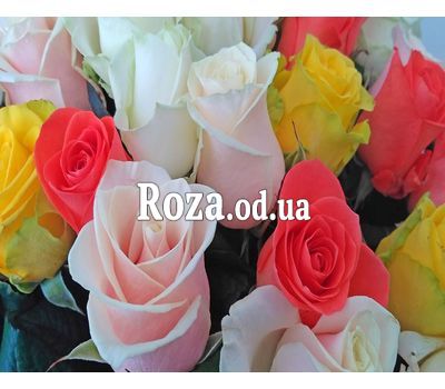 Букет из 37 разноцветных роз 1