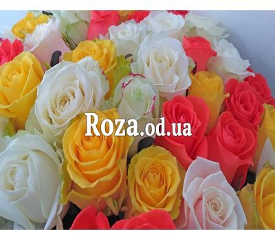Букет из 37 разноцветных роз 2