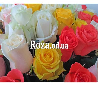 Букет из 37 разноцветных роз 3