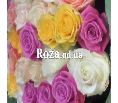 Букет из 39 роз 1