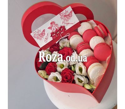 Box Macarons 6