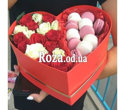 Box Macarons 7