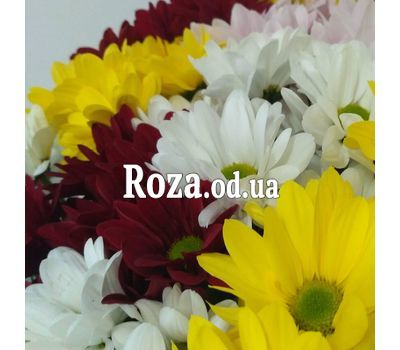 Small bouquet of chrysanthemums 4