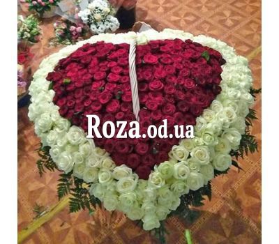Сердце из 350 роз 1