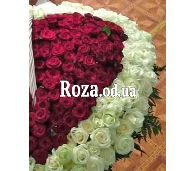 Сердце из 350 роз 2